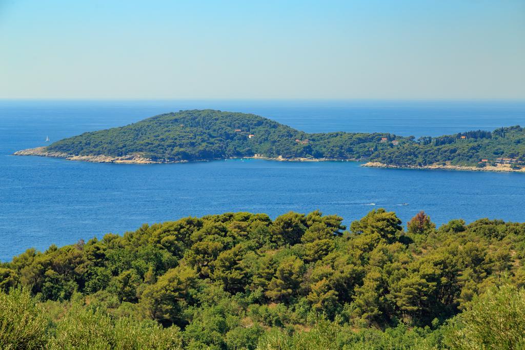 Hedera Estate, Villa Hedera VII Zaton  Bagian luar foto